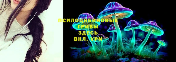 каннабис Белокуриха