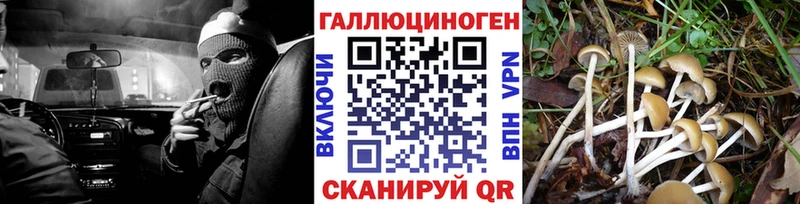 Галлюциногенные грибы MAGIC MUSHROOMS продажа наркотиков Вилюйск